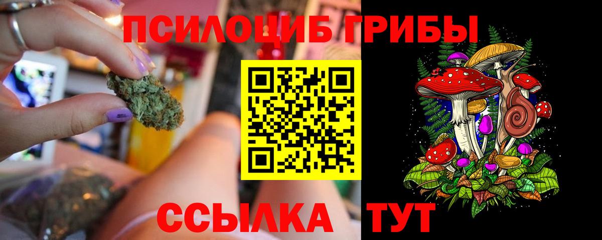 Галлюциногенные грибы Psilocybine cubensis  цены   Волгодонск  Галлюциногенные грибы Magic Shrooms  Вход с VPN 